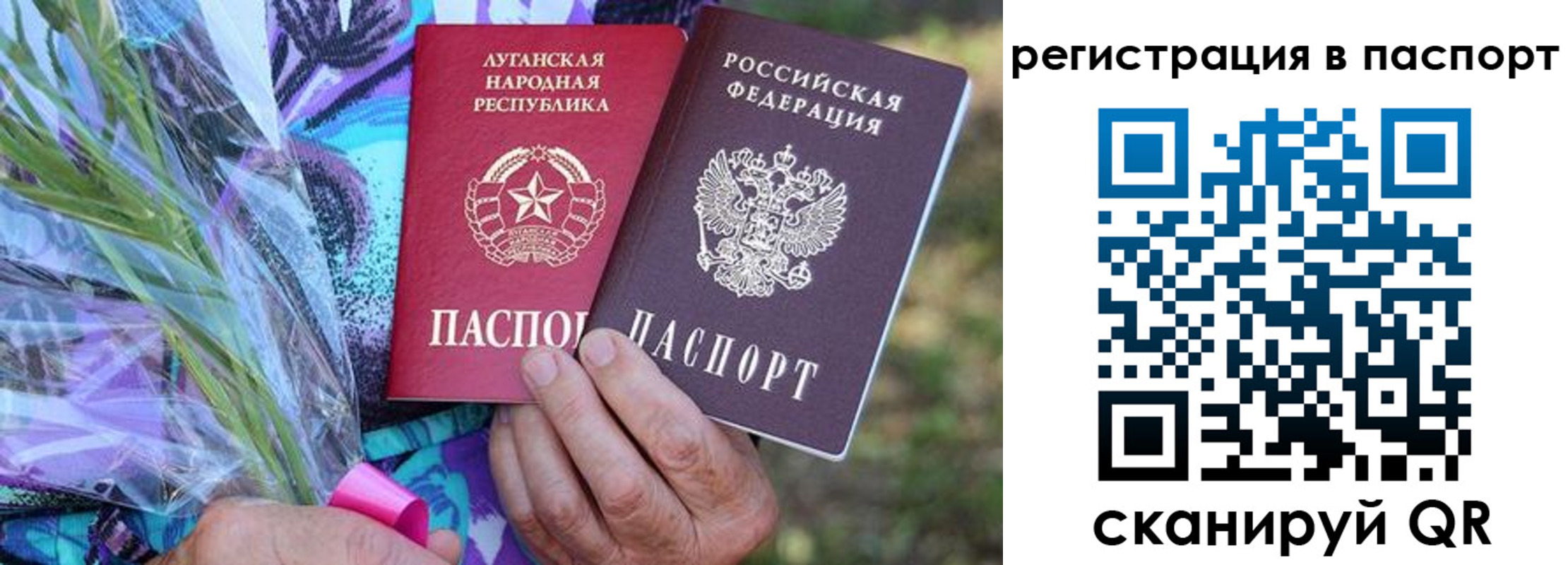 прописка законно в Калининграде